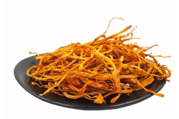 蟲(chóng)草花放冰箱能保存多久 蟲(chóng)草花放久了還能吃嗎
