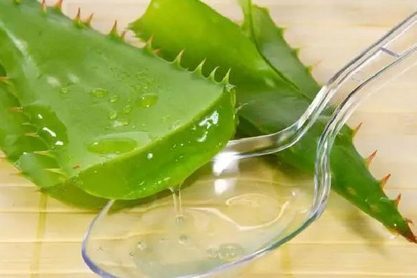 新鮮蘆薈擦臉會(huì)越來越黑嗎 新鮮蘆薈擦臉有什么副作用