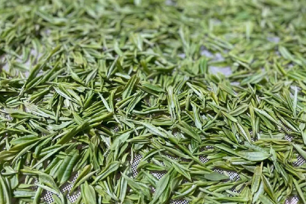 安吉白茶多少錢(qián)一斤2023 安吉白茶是名茶嗎