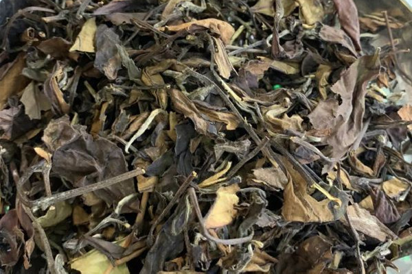 貢眉白茶的價(jià)格是多少 貢眉白茶屬于什么檔次